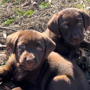 Meet your Posher, Anne